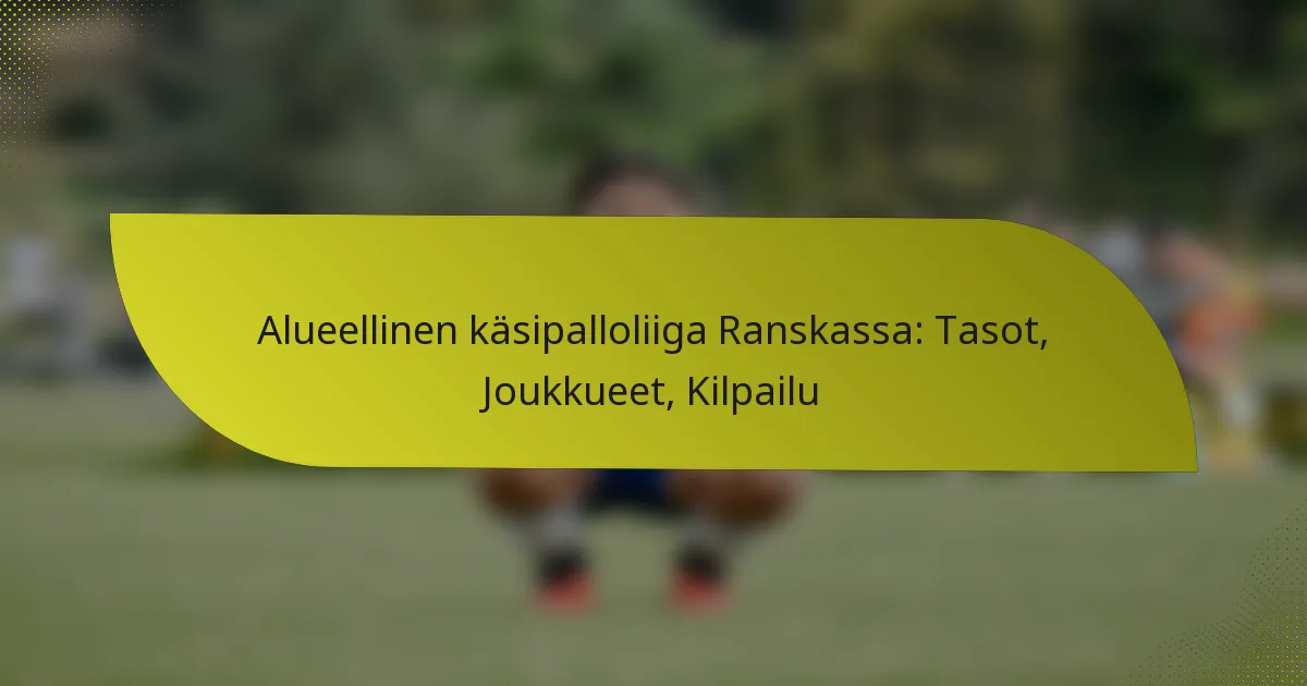 Alueellinen käsipalloliiga Ranskassa: Tasot, Joukkueet, Kilpailu
