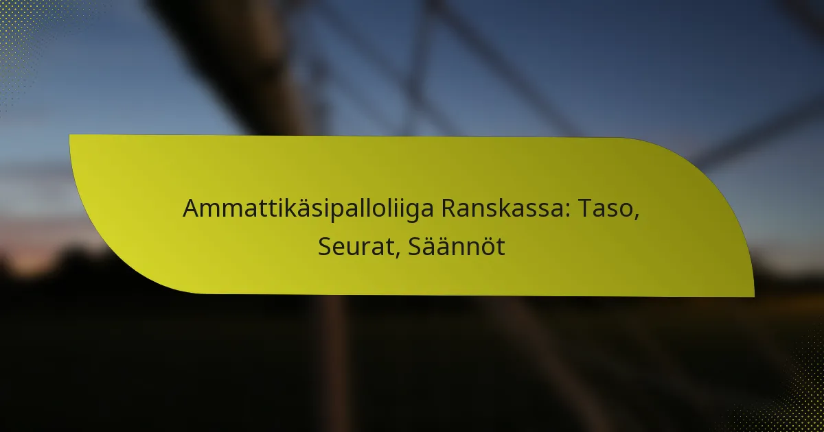 Ammattikäsipalloliiga Ranskassa: Taso, Seurat, Säännöt