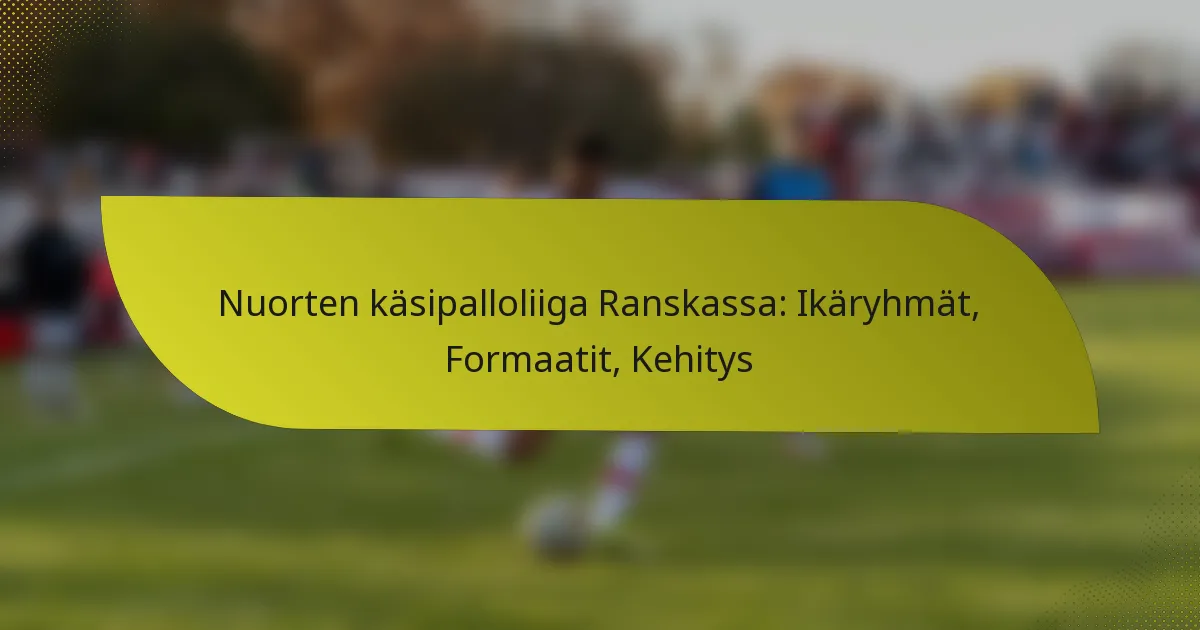 Nuorten käsipalloliiga Ranskassa: Ikäryhmät, Formaatit, Kehitys