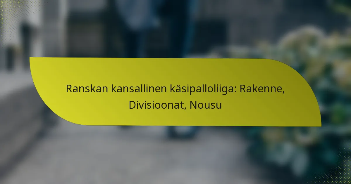 Ranskan kansallinen käsipalloliiga: Rakenne, Divisioonat, Nousu