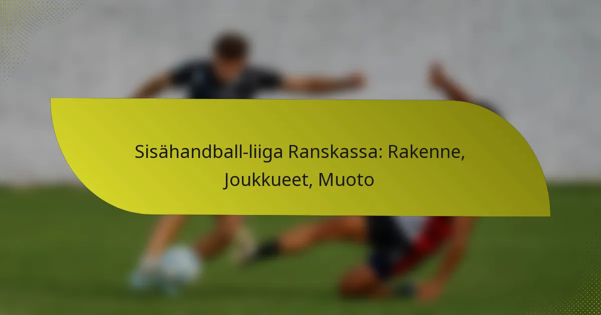 Sisähandball-liiga Ranskassa: Rakenne, Joukkueet, Muoto