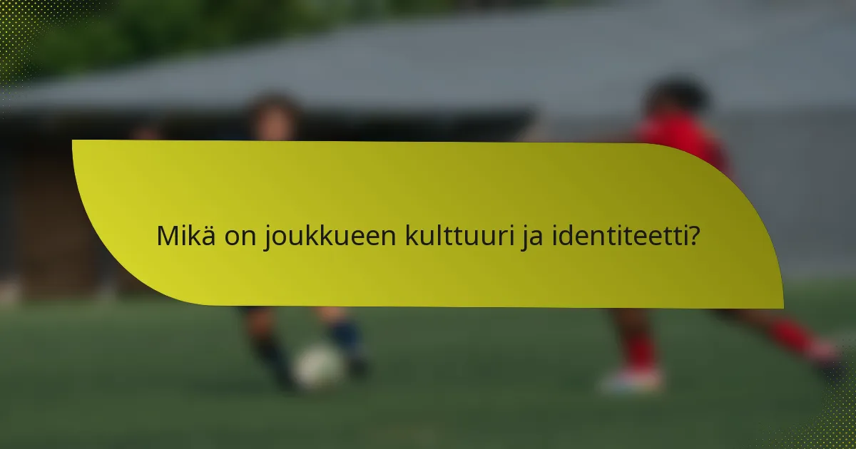 Mikä on joukkueen kulttuuri ja identiteetti?